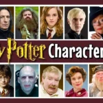 Fun quiz: Which Harry Potter character are you?