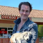 James Van Der Beek Illness and Bowel Cancer