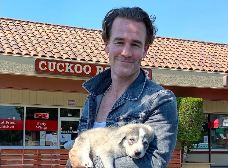James Van Der Beek Illness